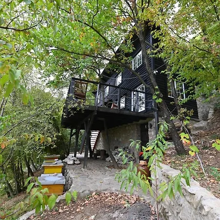 The Hidden Cottage! A Diy Cabin In The Countryside Tirana